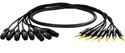 Mogami Snake cable Gold 8 TRS-XLRF