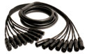 Mogami Snake cable Gold 8 XLR-XLR