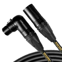 Gold Stage for Microphones